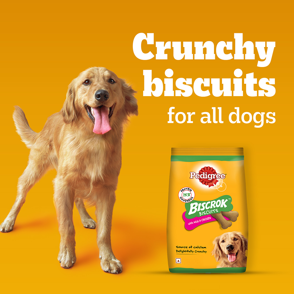 Pedigree Milk and Chicken Flavour Biscrok Biscuits Dog Treats (500g) Dog Treats + Others Pedigree