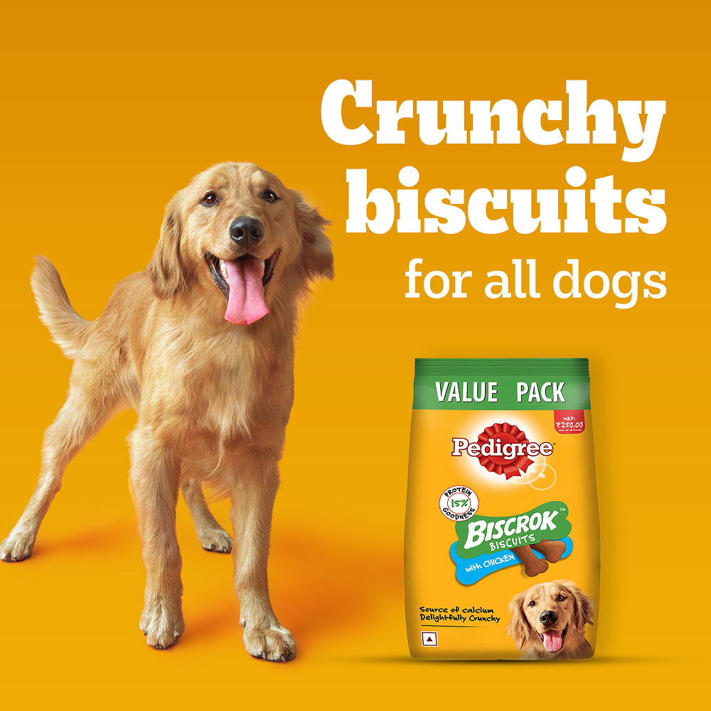 Pedigree Chicken Flavour Biscrok Dog Biscuits Dog Treats (500g) Dog Treats + Others Pedigree