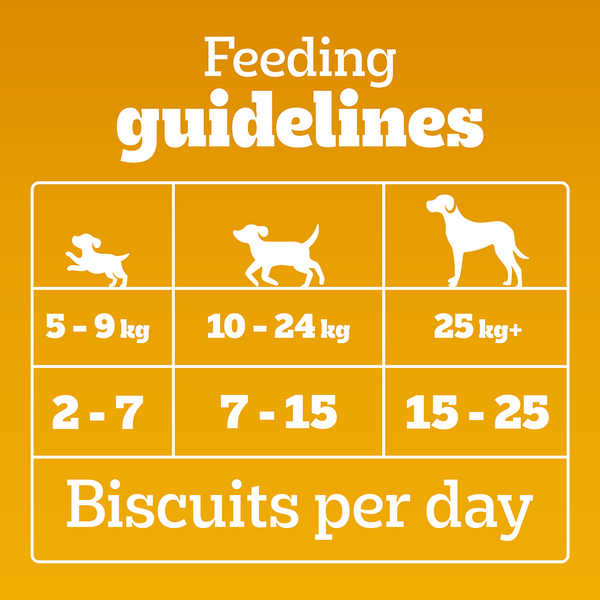 Pedigree Lamb Flavour Biscrok Biscuits Dog Treats (900g)