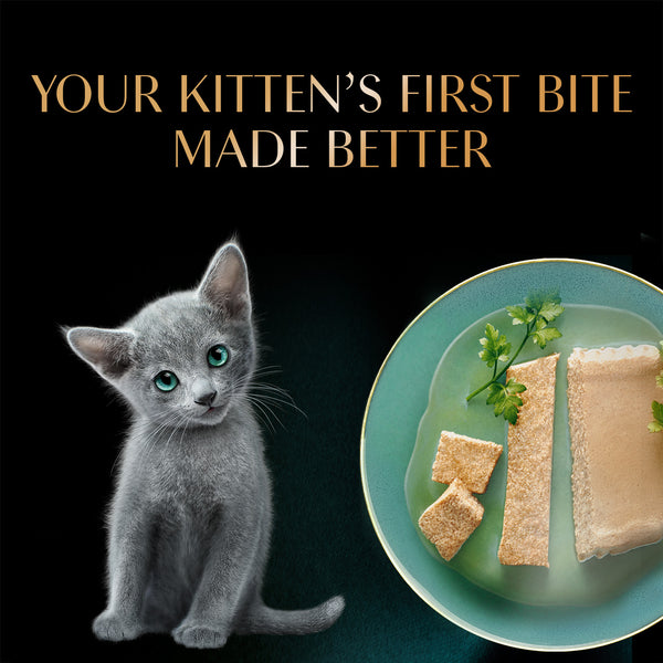 Sheba Chicken Loaf Rich Premium Kitten (2 to 12 Months) Fine Wet Food and Irresistible All Life Stage Cat Dry Food Combo