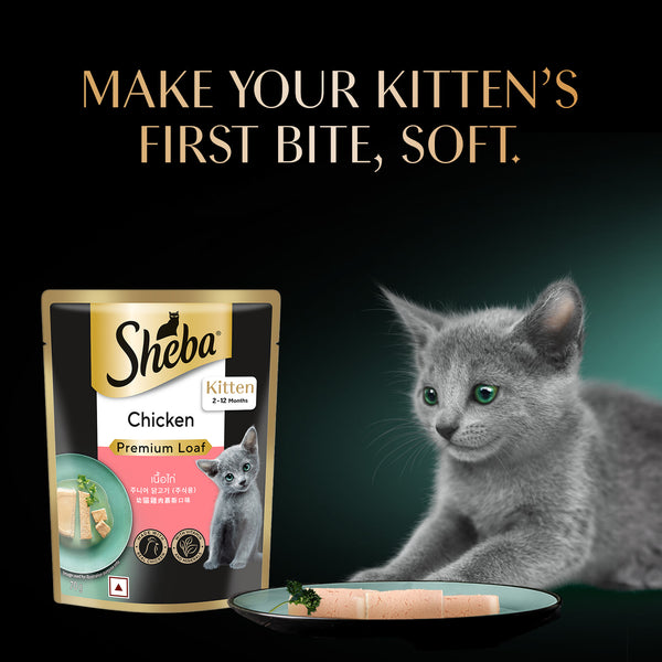 Sheba Chicken Loaf Rich Premium Kitten (2 to 12 Months) Fine Wet Food and Irresistible All Life Stage Cat Dry Food Combo
