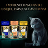 Sheba Chicken Loaf Rich Premium Kitten (2 to 12 Months) Fine Wet Food and Irresistible All Life Stage Cat Dry Food Combo Exclusive Combo Exclusive Combo