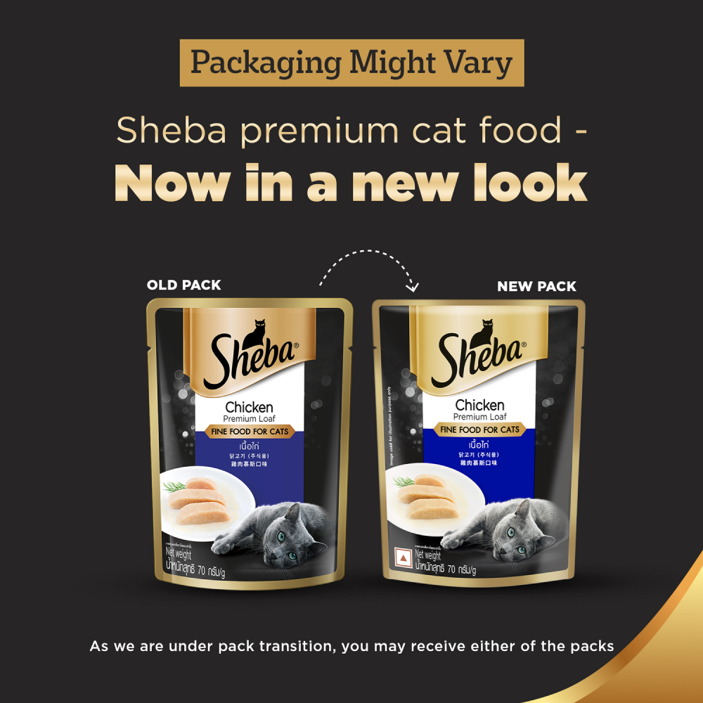 Sheba Chicken Loaf Rich Premium Adult Fine Wet Food and Chicken All Life Stage Cat Dry Food Combo Exclusive Combo Sheba
