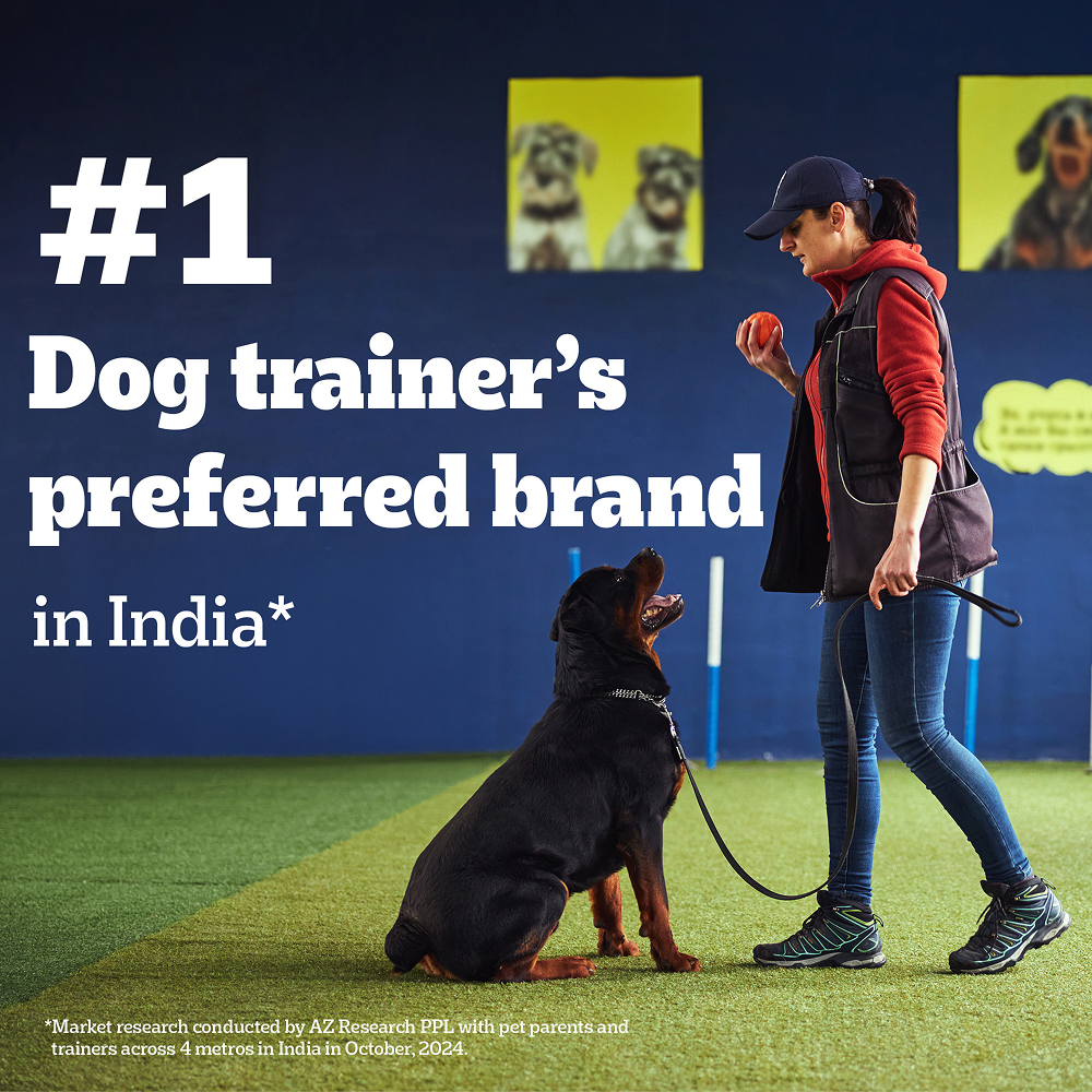 Pedigree Milk and Chicken Flavour Biscrok Biscuits Dog Treats (500g) Dog Treats + Others Pedigree