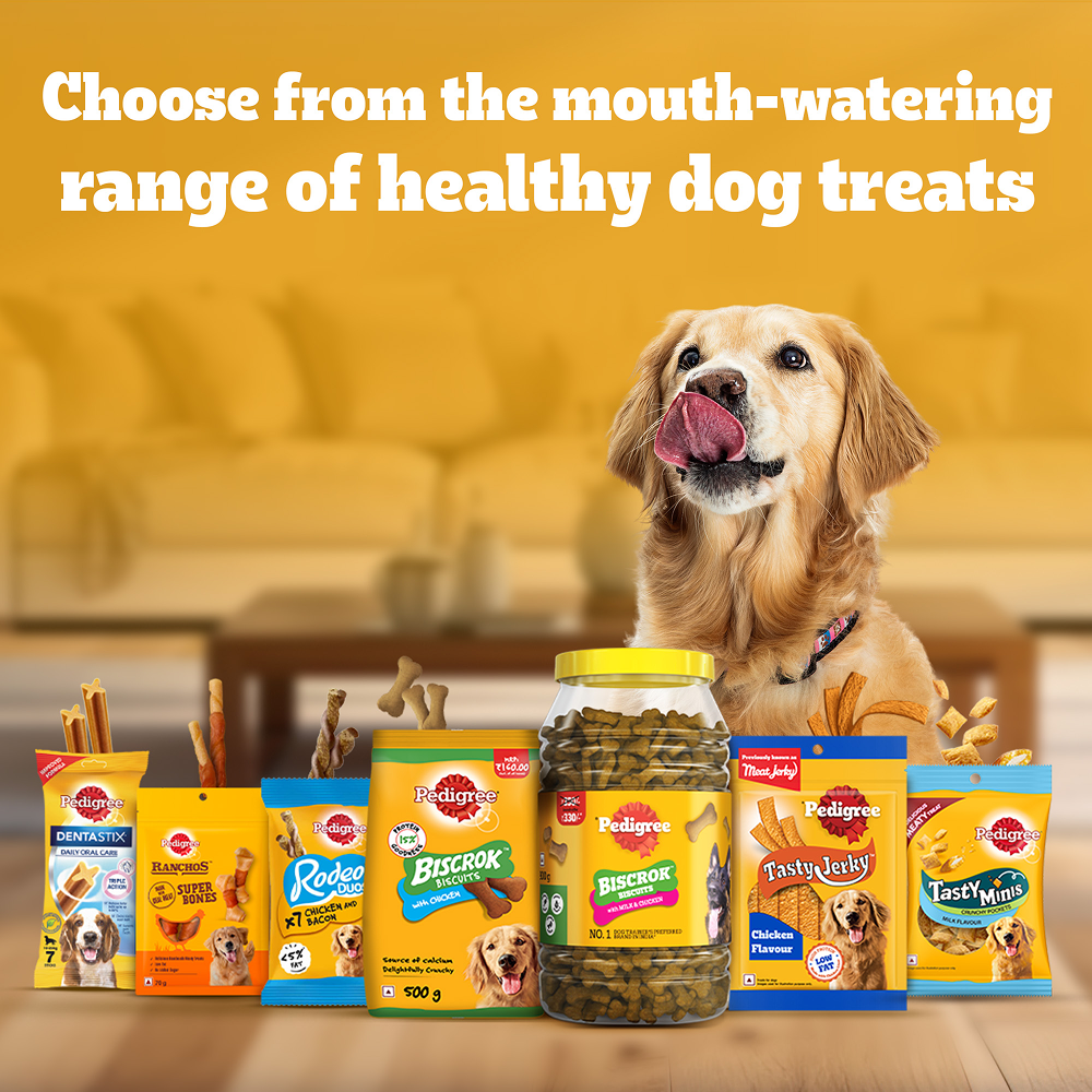 Pedigree Milk and Chicken Flavour Biscrok Biscuits Dog Treats (500g) Dog Treats + Others Pedigree