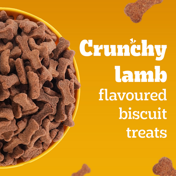 Pedigree Lamb Flavour Biscrok Biscuits Dog Treats (900g)