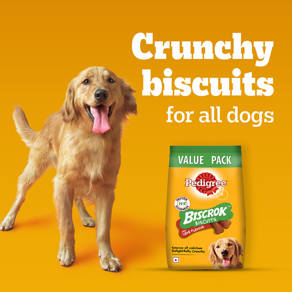 Pedigree Lamb Flavour Biscrok Biscuits Dog Treats (900g)
