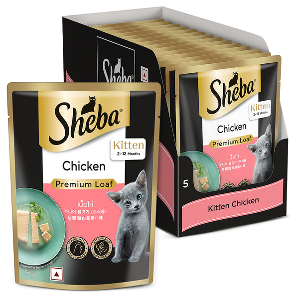 Sheba Chicken Loaf Rich Premium Kitten (2 to 12 Months) Fine Wet Food and Irresistible All Life Stage Cat Dry Food Combo