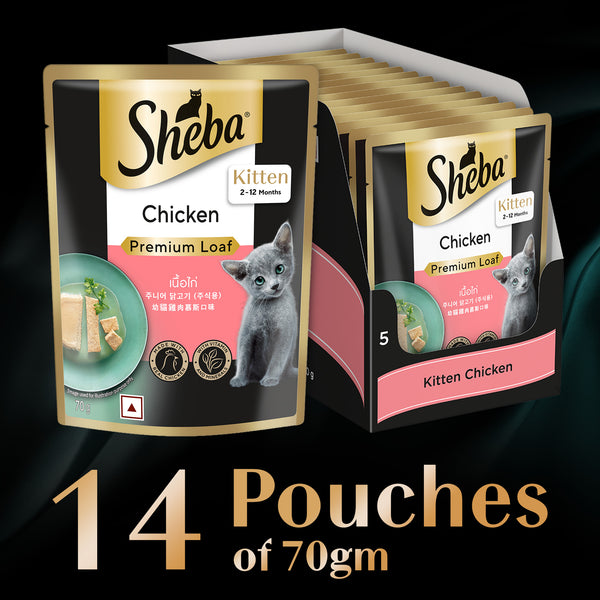 Sheba Chicken Loaf Rich Premium Kitten (2 to 12 Months) Fine Wet Food and Irresistible All Life Stage Cat Dry Food Combo