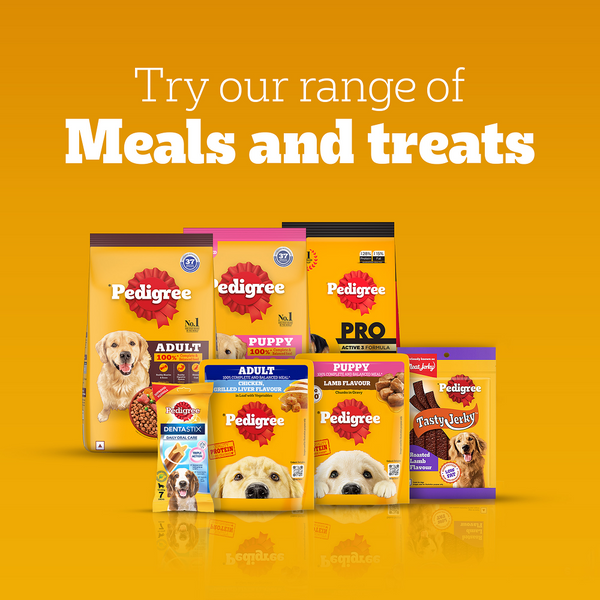 Pedigree Ranchos Super Bones Chicken & Milk Dog Treats