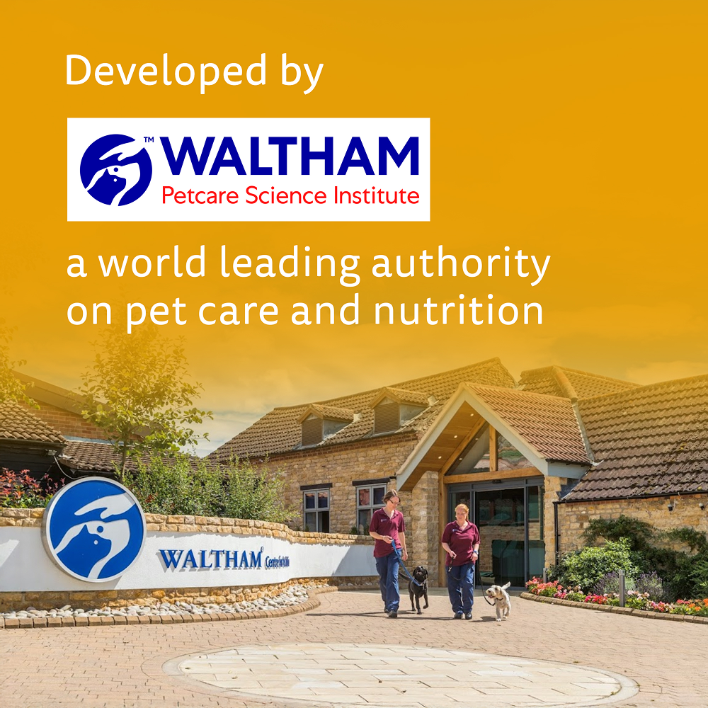 Pedigree Roasted Lamb Tasty Jerky Dog Treat Dog Treats + Others Pedigree