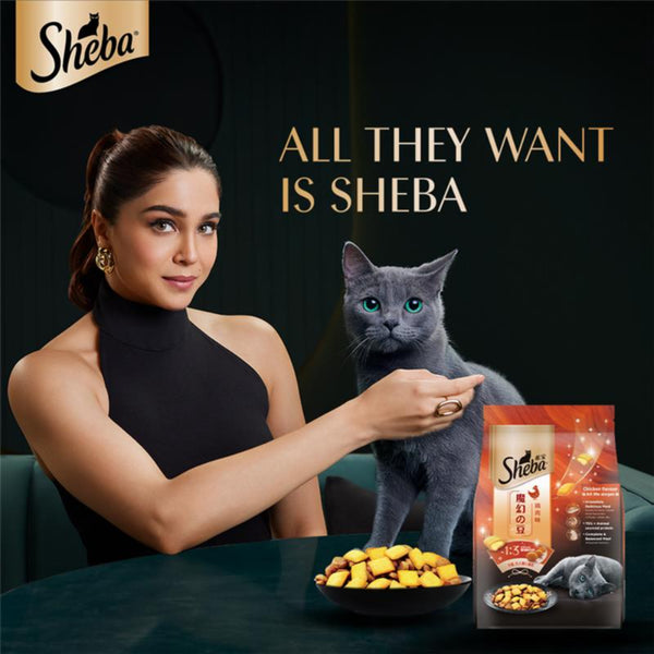Sheba Chicken Loaf Rich Premium Kitten (2 to 12 Months) Fine Wet Food and Irresistible All Life Stage Cat Dry Food Combo