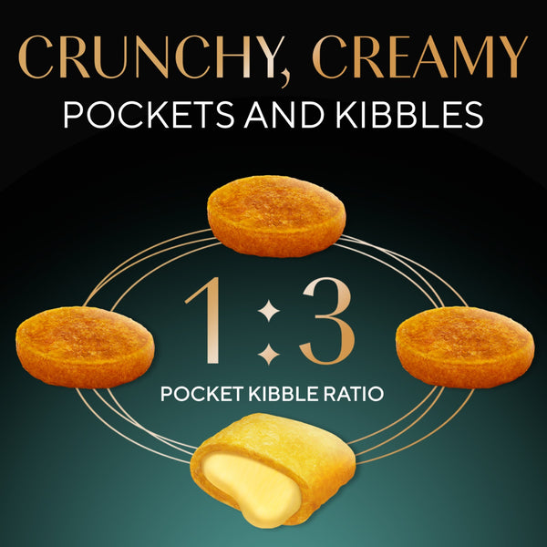Sheba Chicken Loaf Rich Premium Kitten (2 to 12 Months) Fine Wet Food and Irresistible All Life Stage Cat Dry Food Combo