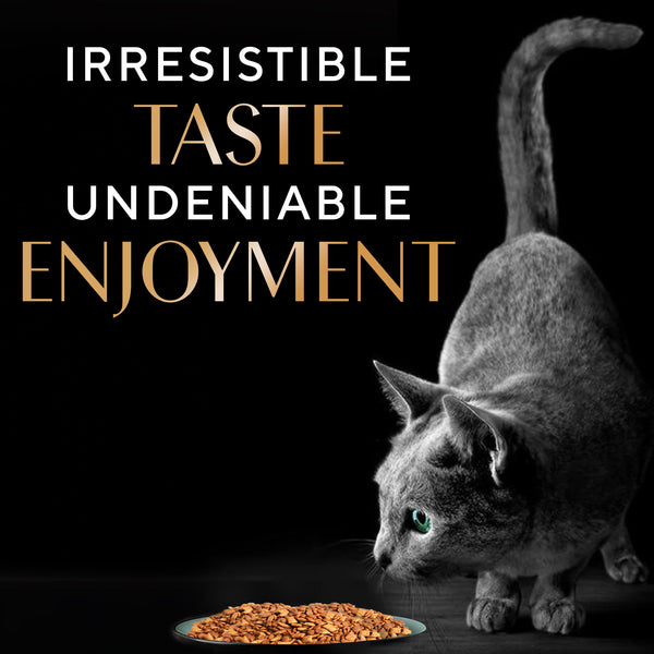 Sheba Chicken Loaf Rich Premium Kitten (2 to 12 Months) Fine Wet Food and Irresistible All Life Stage Cat Dry Food Combo