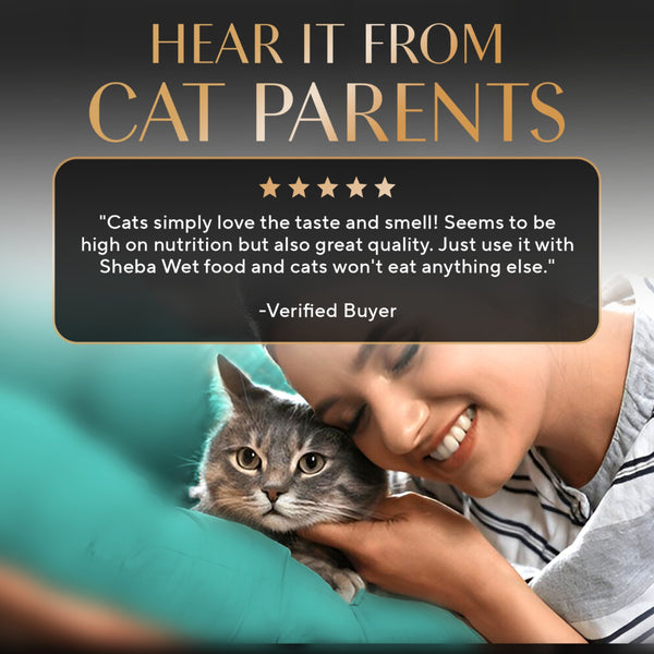 Sheba Chicken Loaf Rich Premium Kitten (2 to 12 Months) Fine Wet Food and Irresistible All Life Stage Cat Dry Food Combo