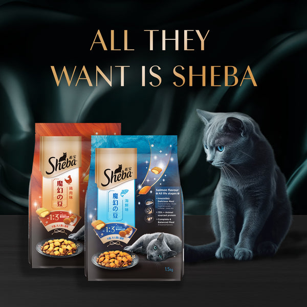 Sheba Chicken Loaf Rich Premium Kitten (2 to 12 Months) Fine Wet Food and Irresistible All Life Stage Cat Dry Food Combo