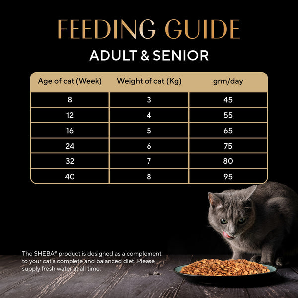 Sheba Chicken Loaf Rich Premium Kitten (2 to 12 Months) Fine Wet Food and Irresistible All Life Stage Cat Dry Food Combo