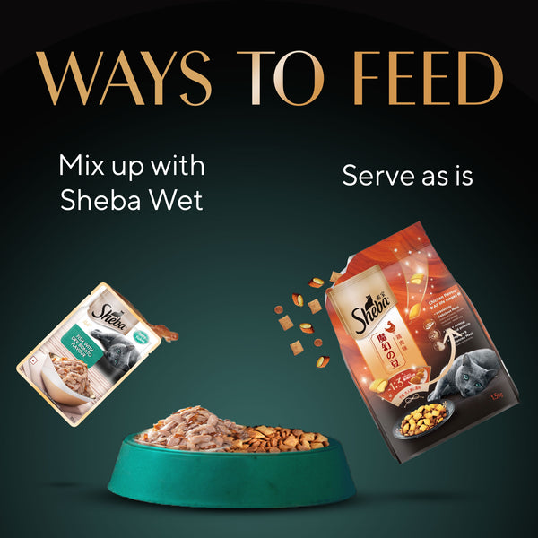 Sheba Chicken Loaf Rich Premium Kitten (2 to 12 Months) Fine Wet Food and Irresistible All Life Stage Cat Dry Food Combo
