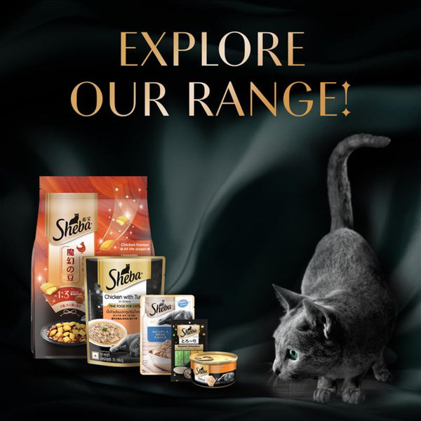 Sheba Chicken Loaf Rich Premium Kitten (2 to 12 Months) Fine Wet Food and Irresistible All Life Stage Cat Dry Food Combo