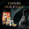 Sheba Chicken Loaf Rich Premium Kitten (2 to 12 Months) Fine Wet Food and Irresistible All Life Stage Cat Dry Food Combo