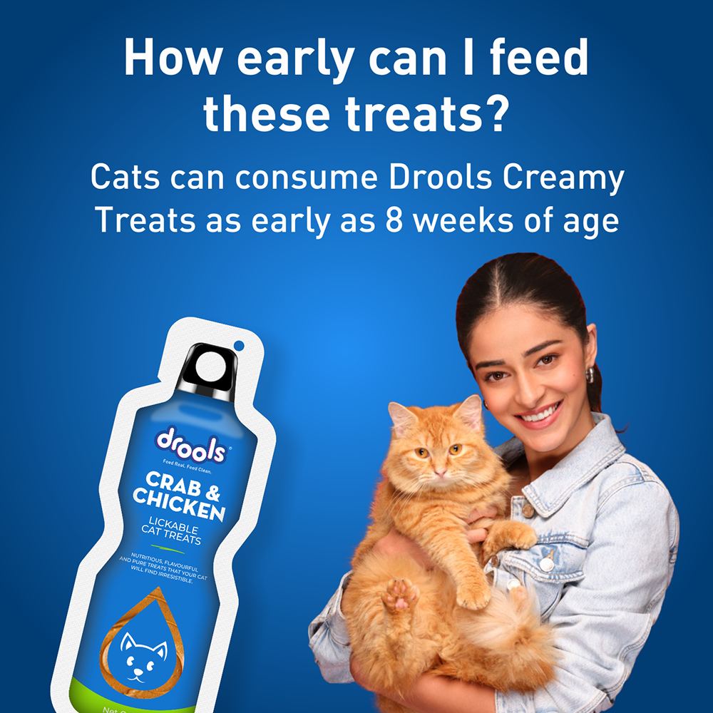 Drools Crab & Chicken Creamy Lickable Cat Treats Cats-Treats & Others Drools