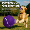 Talking Dog Club Tennis Ball Toy for Dogs (Purple) Dogs-Toys Talking Dog Club Dropship