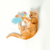 Barkbutler x Fofos Birthday Balloon Catnip Toy for Cats Cats-Toys Barkbutler