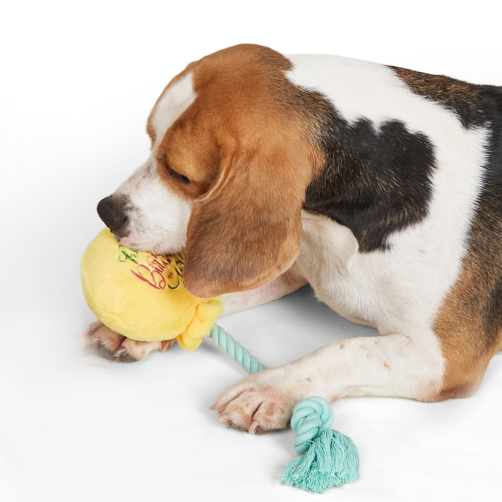 Barkbutler x Fofos Birthday Balloon Plush Toy for Dogs Dogs-Toys Barkbutler