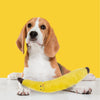 Zippy Paws Banana Jigglerz Plush Toy for Dogs Dogs-Toys Zippy Paws