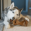 Himalaya Chicken Healthy Adult Treats and Benebone Bacon Flavored Dental Chew Toy for Dogs Combo Exclusive Combo Exclusive Combo