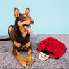Zippy Paws Squeakie Crawler Betsey the Ladybug Plush Toy for Dogs Dogs-Toys Zippy Paws