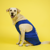 Supertails Bengaluru FC Jersey for Dogs and Cats