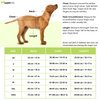 Supertails Bengaluru FC Jersey for Dogs and Cats