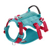 Truelove Escape proof harness for Dogs (Pool Blue) Both-Collar, Leashes, harnesses True Love M