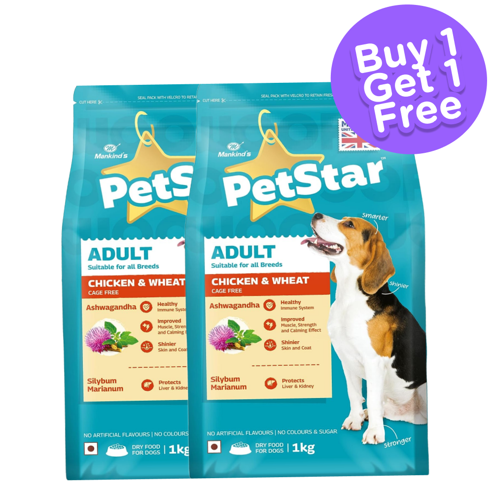 Cheap dog store food for sale