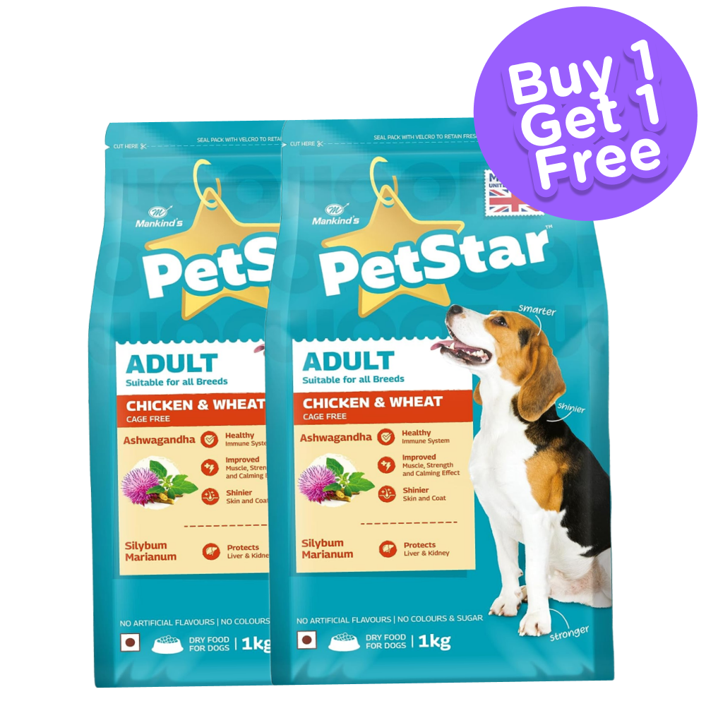 Cheap dog hot sale food for sale