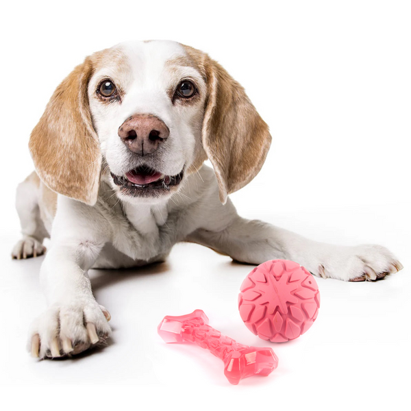 Barkbutler x Fofos Milk Bone & Ball Toy for Dogs (Pink)