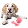Barkbutler x Fofos Milk Bone & Ball Toy for Dogs (Pink) Dogs-Toys Barkbutler