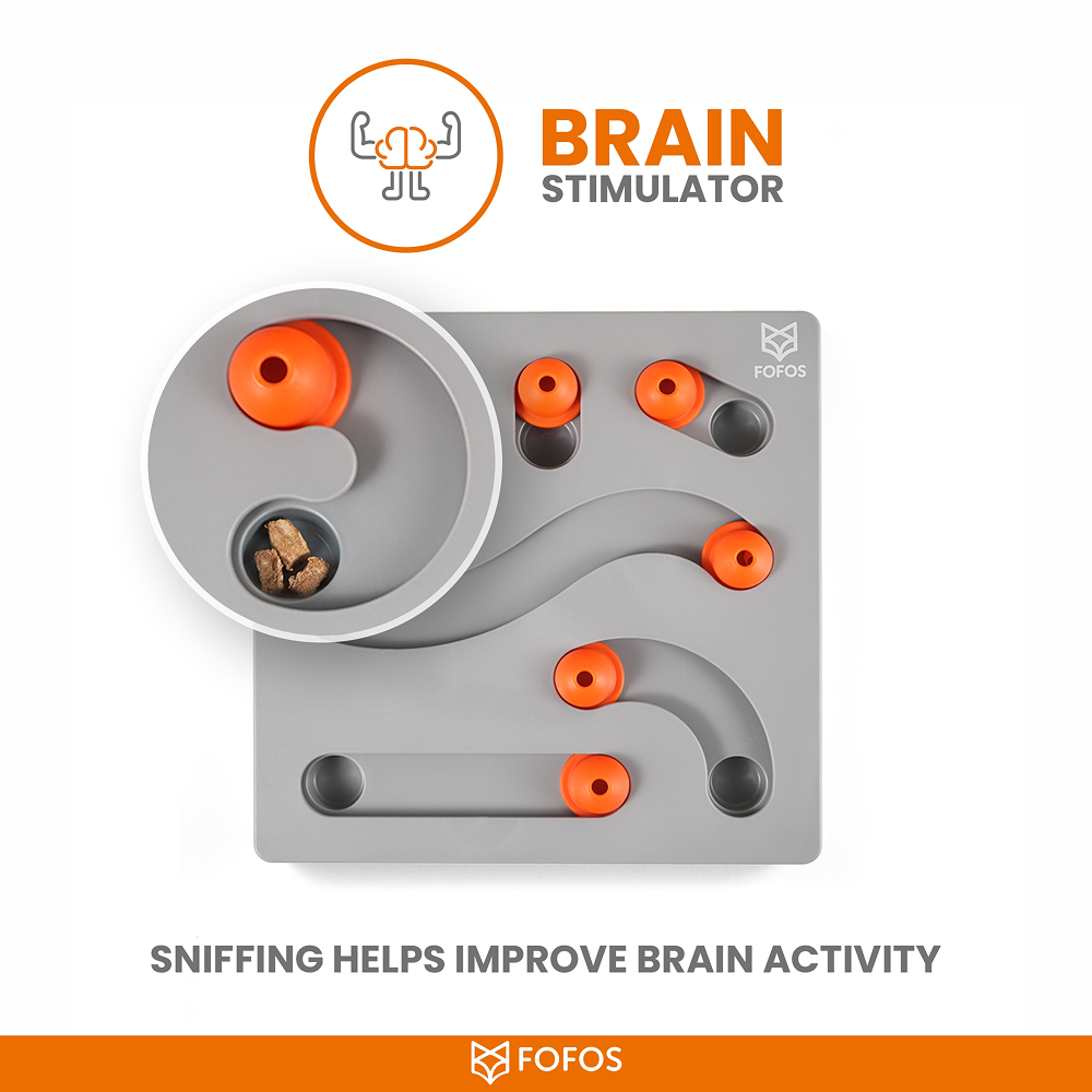 Barkbutler x Fofos Interactive Brain Game Puzzle Toy for Dogs