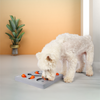 Barkbutler x Fofos Interactive Brain Game Puzzle Toy for Dogs