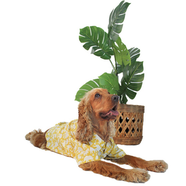 Dogobow Elephant Printed Shirt for Dogs and Cats (Yellow/White) (Get a Bow Free)
