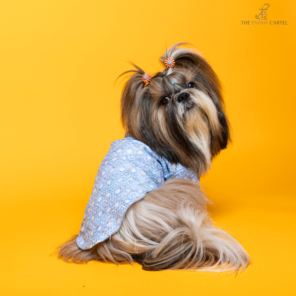 The Papaw Cartel Mosaic Weave Koti with Zari Detailing Sherwani for Dogs (Baby Blue)