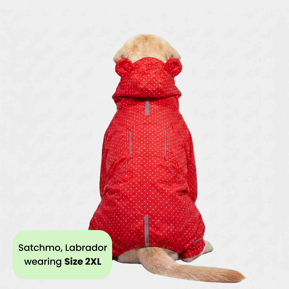 Skatrs Rain Ranger Raincoat for Dogs (Red) Dogs-Clothing & Accessories Skatrs