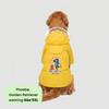 Pets Way Mistiq Yellow Monsoon Fun Raincoat for Dogs Dogs-Clothing & Accessories Pets Way Dropship