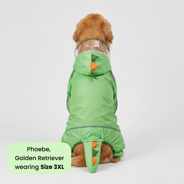 Barkbutler x Fofos Four Leg Dinosaur Raincoat for Dogs (Green)