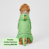 Barkbutler x Fofos Four Leg Dinosaur Raincoat for Dogs (Green) Dogs-Clothing & Accessories Barkbutler