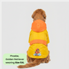 Thunder Dog Raincoat for Dogs (Yellow Orange) Dogs-Clothing & Accessories Pets Way Dropship