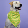 Skatrs Bandana for Dogs Perfect for Trendy Pets (Green ) Both-Clothing & Accessories Skatrs 65x32cm