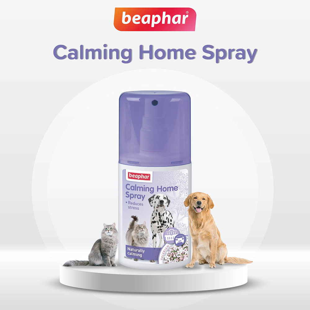 Beaphar Calming Home Spray for Dogs and Cats Dogs-Health & Wellness Beaphar