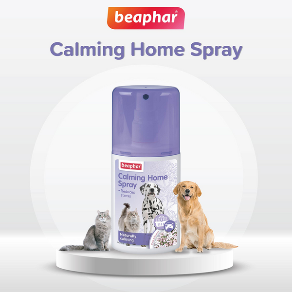 Beaphar Calming Home Spray for Dogs and Cats